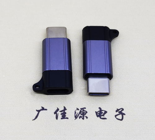 泉州Type-C母转Type-C公 USB3.1 PD100W快冲接口